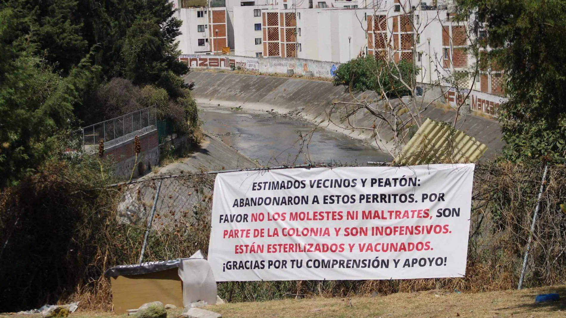 Colonia La Hacienda tiene dos guardianes perrunos que cuidan las calles